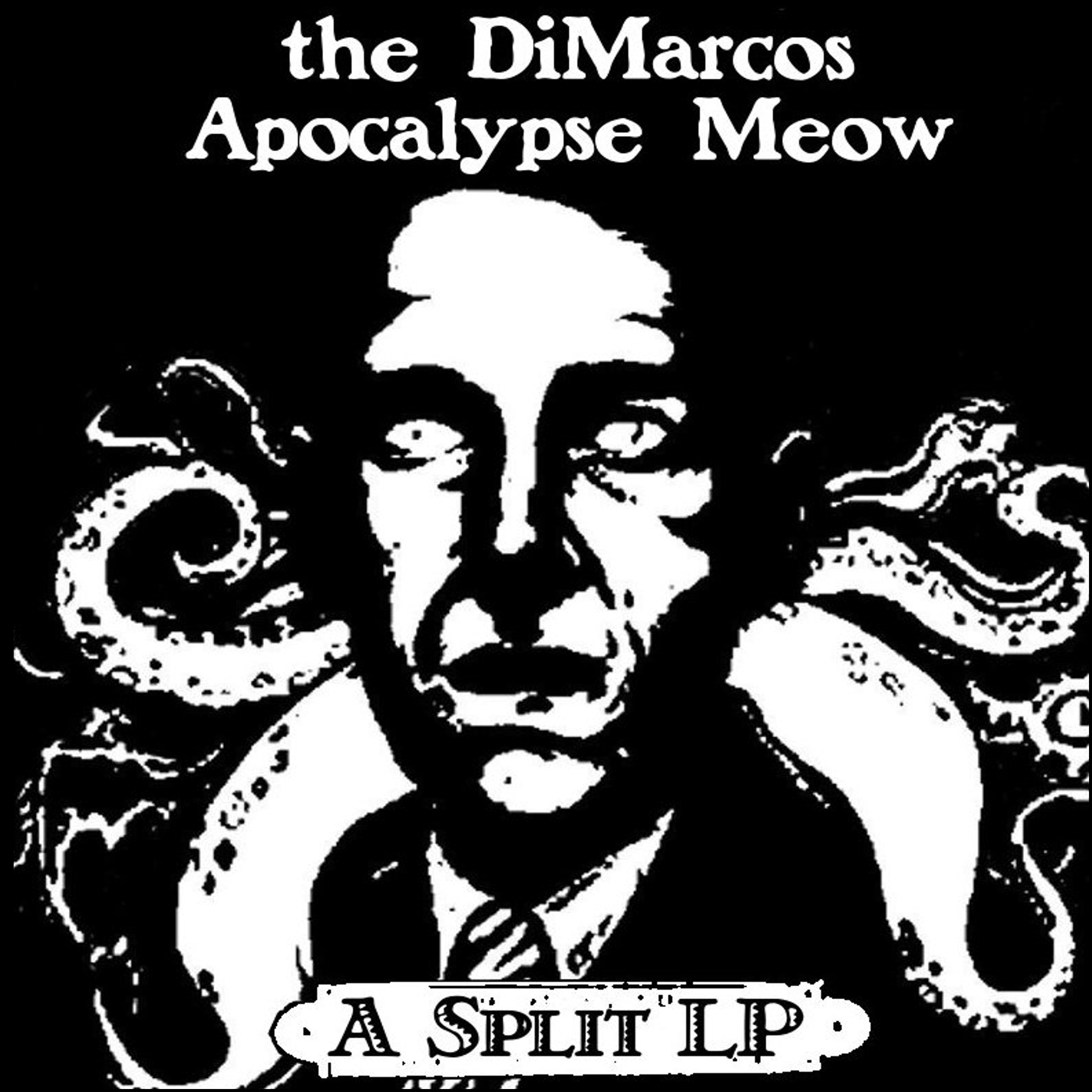 Bigger Boat Records-The DiMarcos/Apocalypse Meow split LP